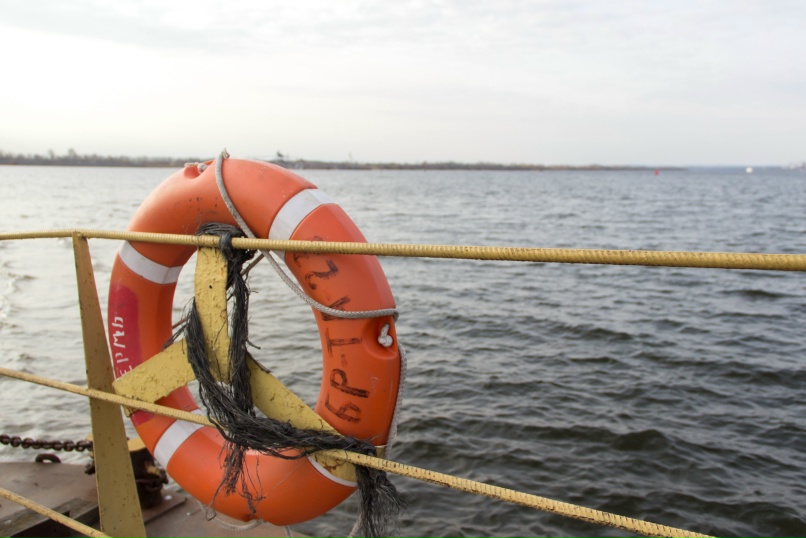 Нелли Павлова |