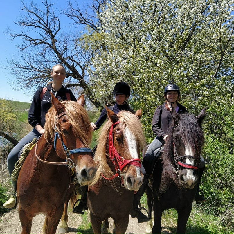 Ирина Усольцева | Армянск