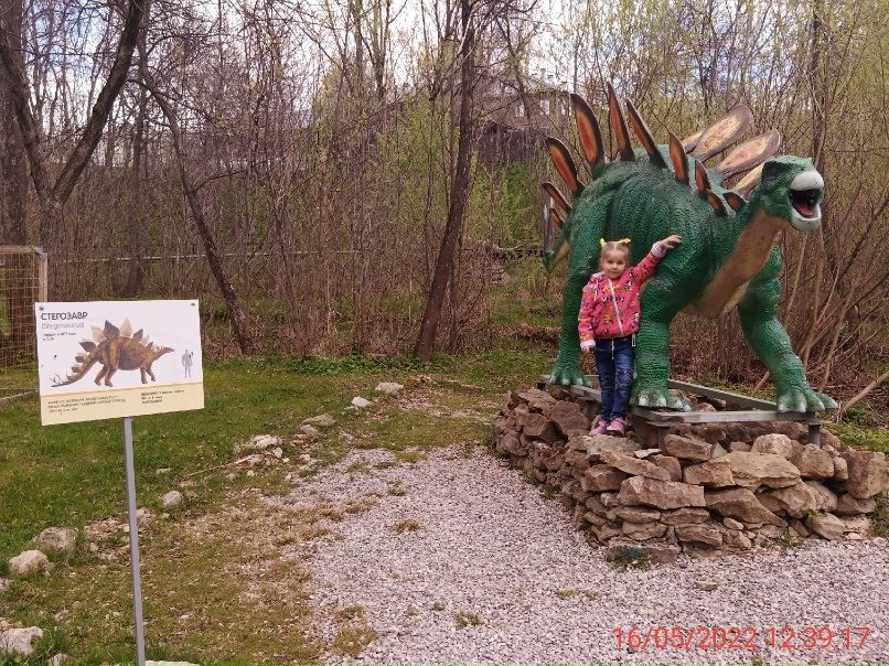 Екатерина Заболотная | Нолинск