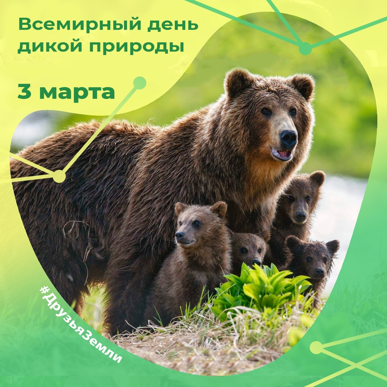 Всемирный день дикой природы Всемирный день дикой природы