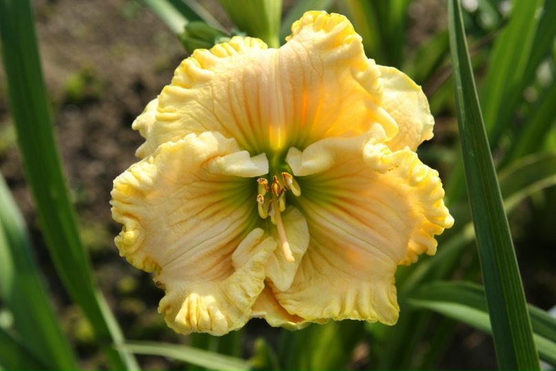 Михаил Аббакумов | Москва