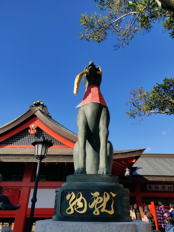 Дмитрий Аникин | Москва