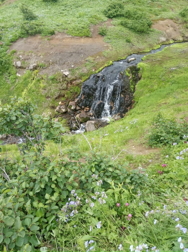 Алла Зверева | Красноярск