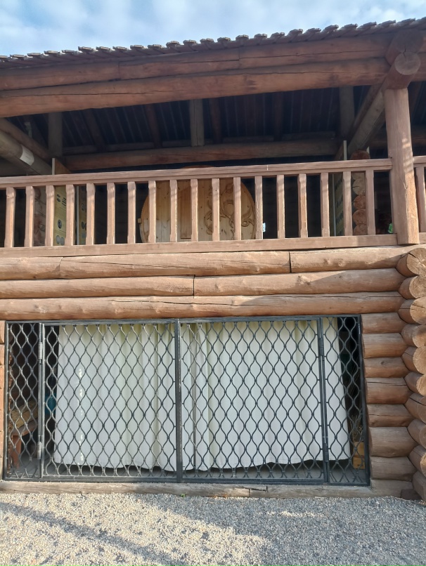 Елена Омельченко | Новосибирск