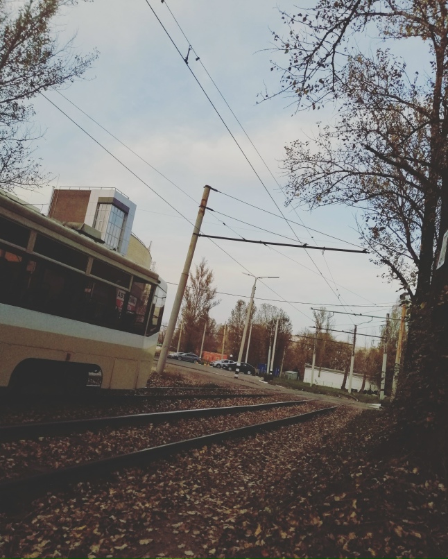 Ксения Ветрова |