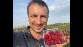 Малина Нижегородец 13 сентября.