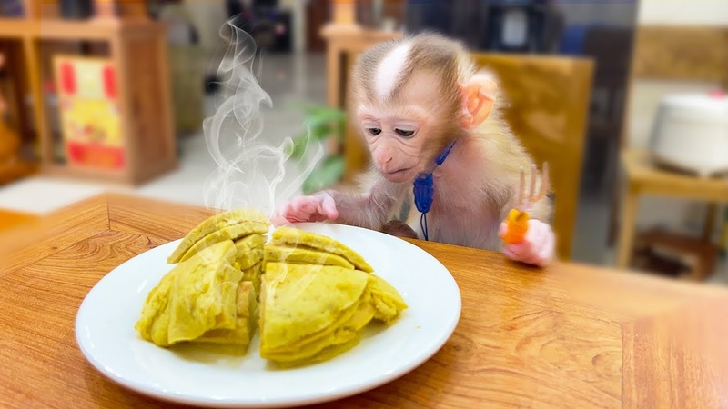 Monkey Yu Yu was hungry at midnight and asked Mom to cook