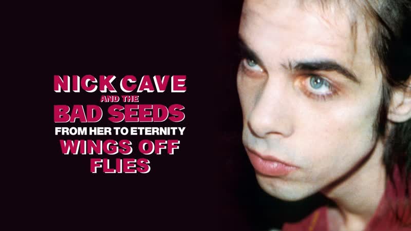 Nick Cave The Bad Seeds Wings Off Flies ( Official