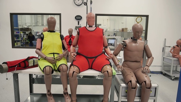 New Crash Test Dummies Model Obese and Elderly