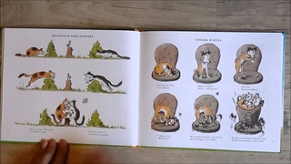 Листаем книгу “Истории в картинках.“ Н. Рыдлов. Мелик-Пашаев