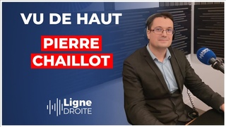 La vrit sur les chiffres officiels du Covid-19 - Pierre Chaillot