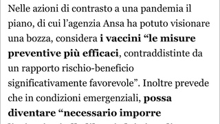 Il piano pandemico quinquennale  di SCHILLACI: bozza