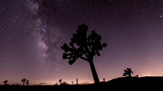 60 Seconds Timelapse of the Perseid Meteor Shower in Joshua Tree Park