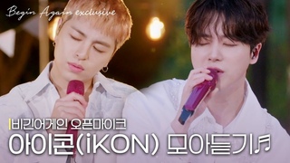 [모아보기] 음색이 정말 취향저격🎵 iKON ,