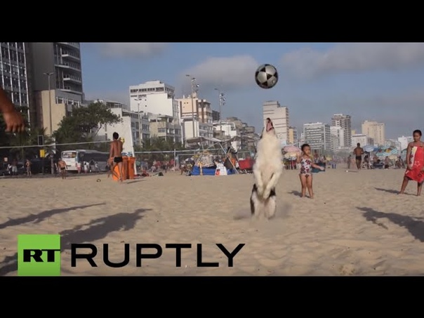 Brazil: See dog known as the canine Neymar do keepie uppies on Rio