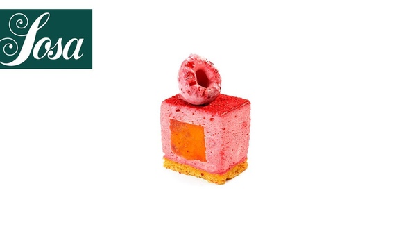 Raspberry Mousse Albumina and Instangel ( Sosa