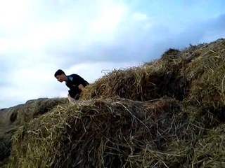 a pile of hay