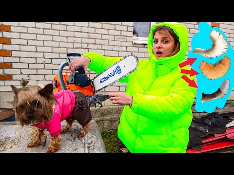 МОЛЛИ ХОЧЕТ ОТРЕЗАТЬ ХВОСТ СМЕШНОЕ ВИДЕО. Крэйзт