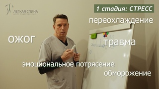 С чем работает специалист по интегральной биодинамике Дмитрий Маслов