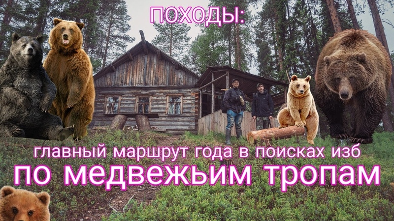 ПОХОДЫ: 78 км по медвежьим тропам в поисках изб. Главный