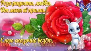 ZOOBE зайка Самое Классное Признание Даме Сердца