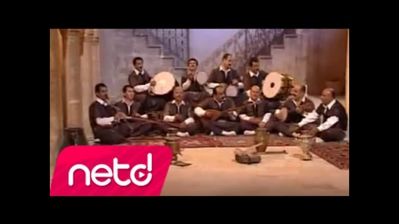 Akif Çekirge Havar Bu