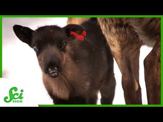 5 Things We Can Learn From Alaska